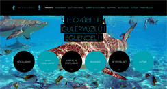 Desktop Screenshot of ibricedalismerkezi.com